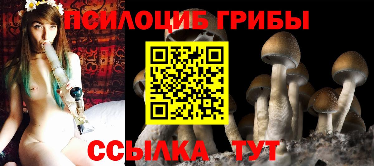 Псилоцибиновые грибы GOLDEN TEACHER  Псилоцибиновые грибы Psilocybe  Вход с VPN  Переславль-Залесский 
